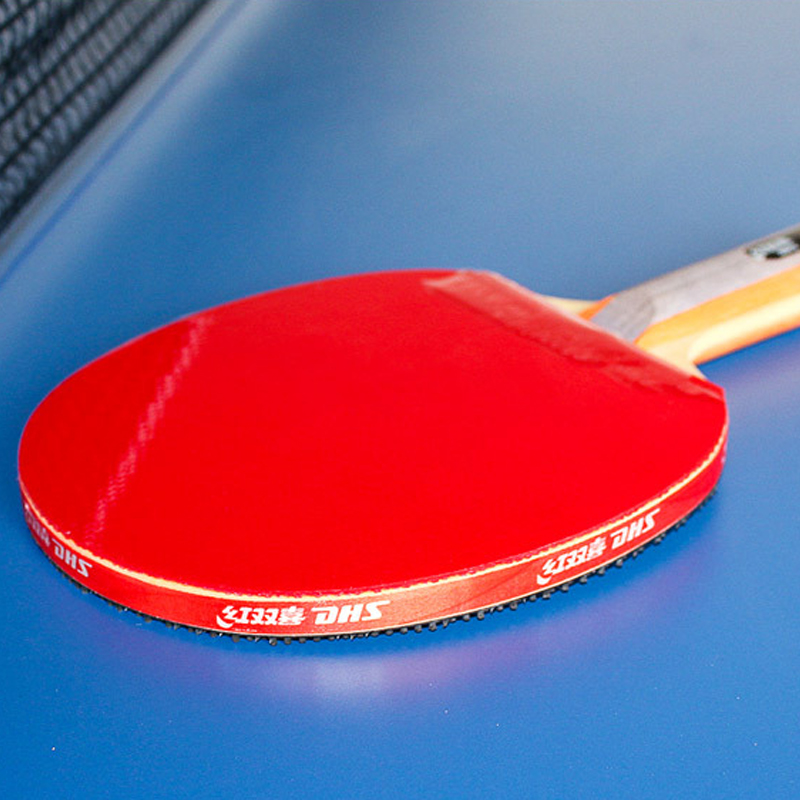 DHS Self-adhesive Table Tennis - Table Tennis Loki 评论和价格